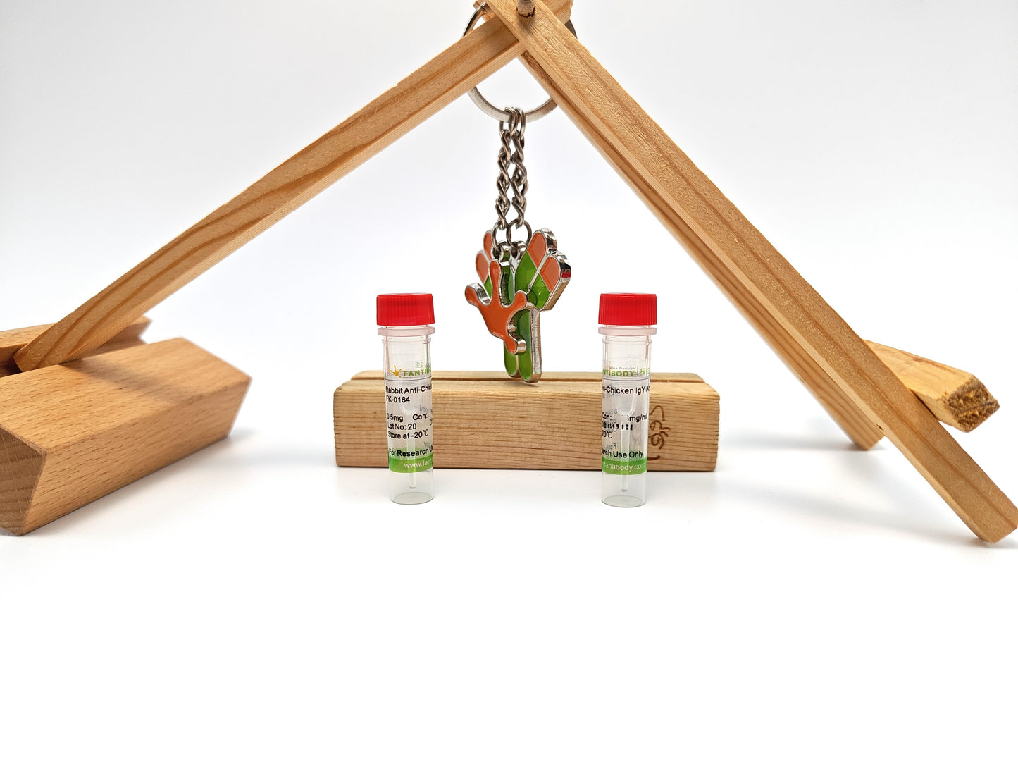 Rabbit Anti-Chicken IgY Antibody-FITC