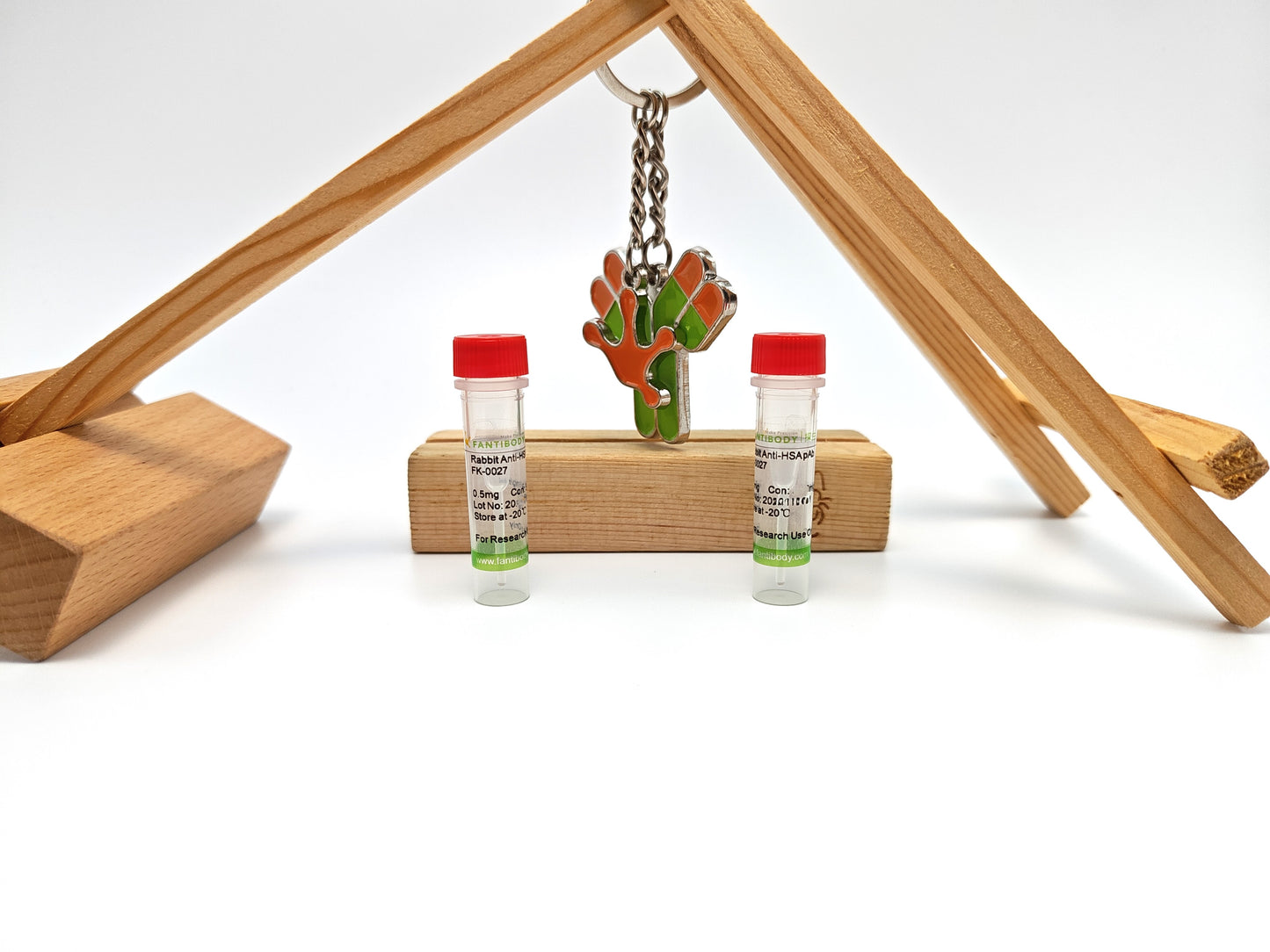 Rabbit Anti-HAS Antibody