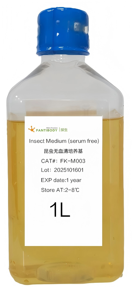 Insect Medium (serum free)