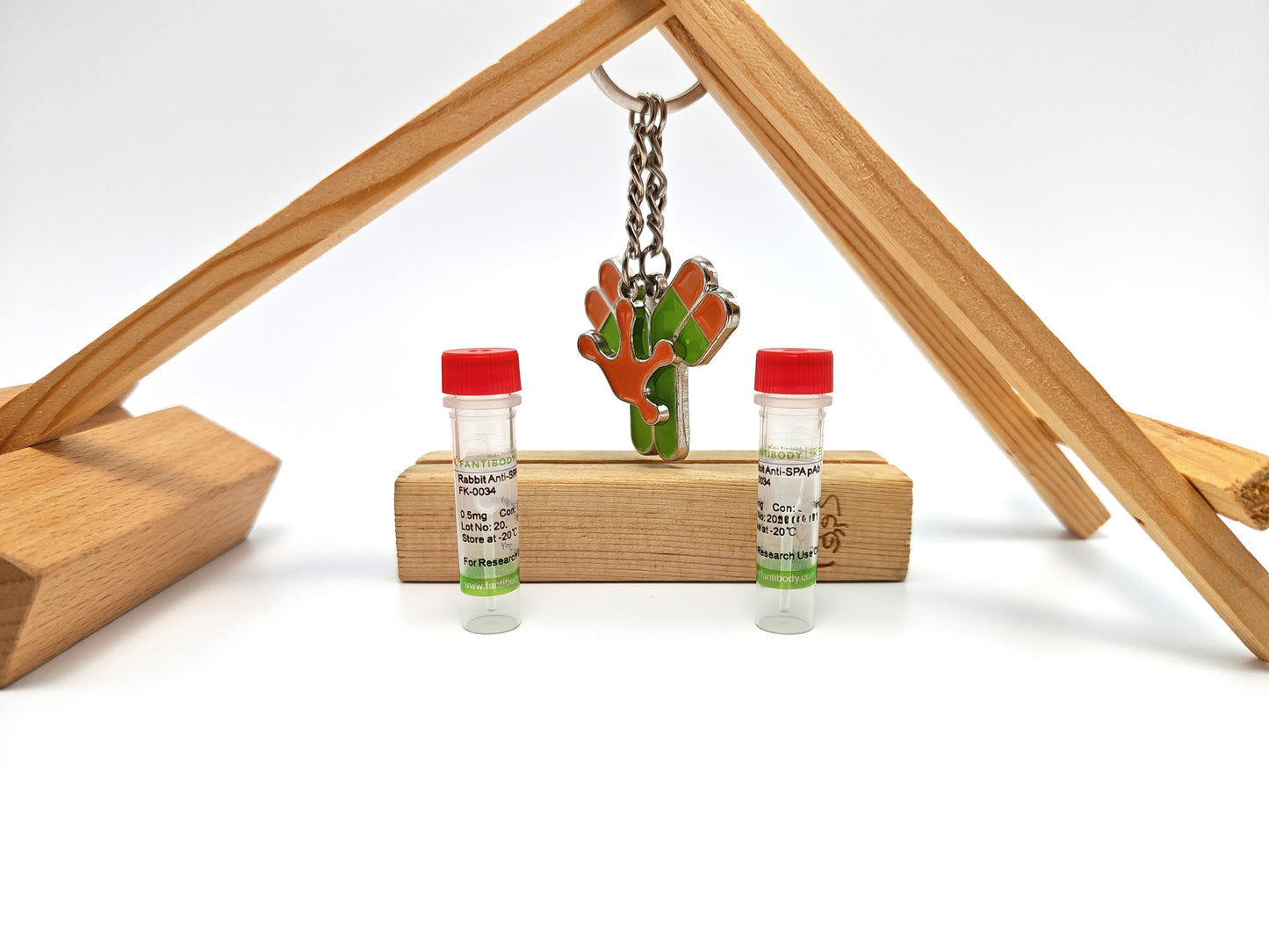 Rabbit Anti-SPA Antibody
