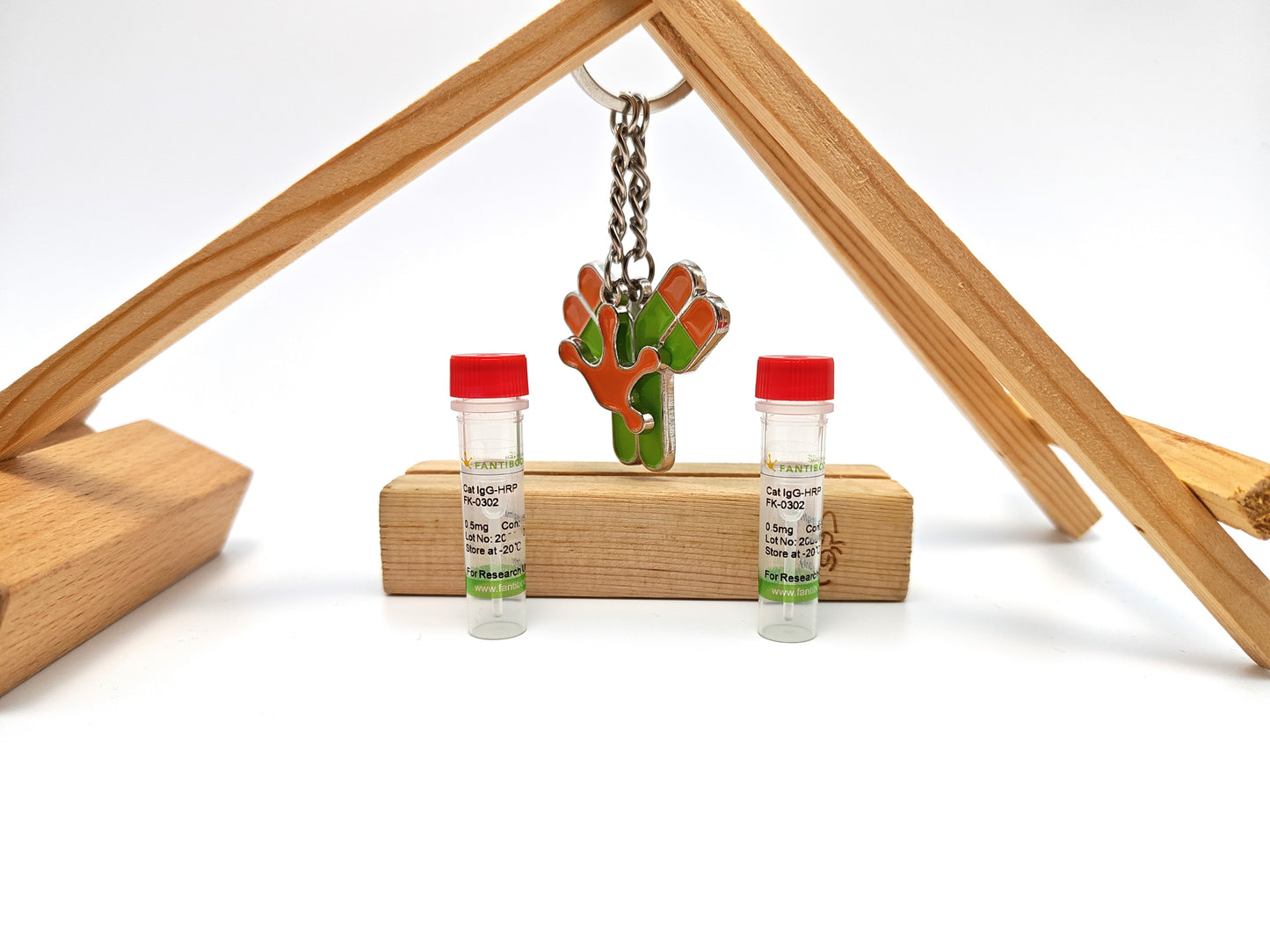 Cat IgG-HRP