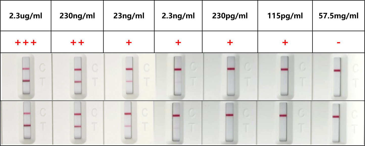 FluB Antibody