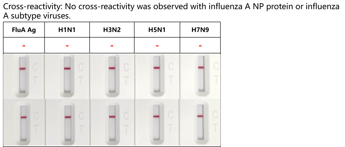 FluA/B Antigen Rapid Test Uncut Sheet (cassette-L)