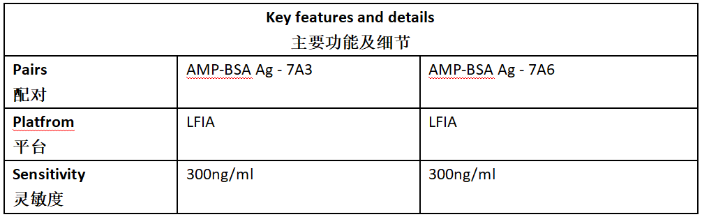 AMP Antibody