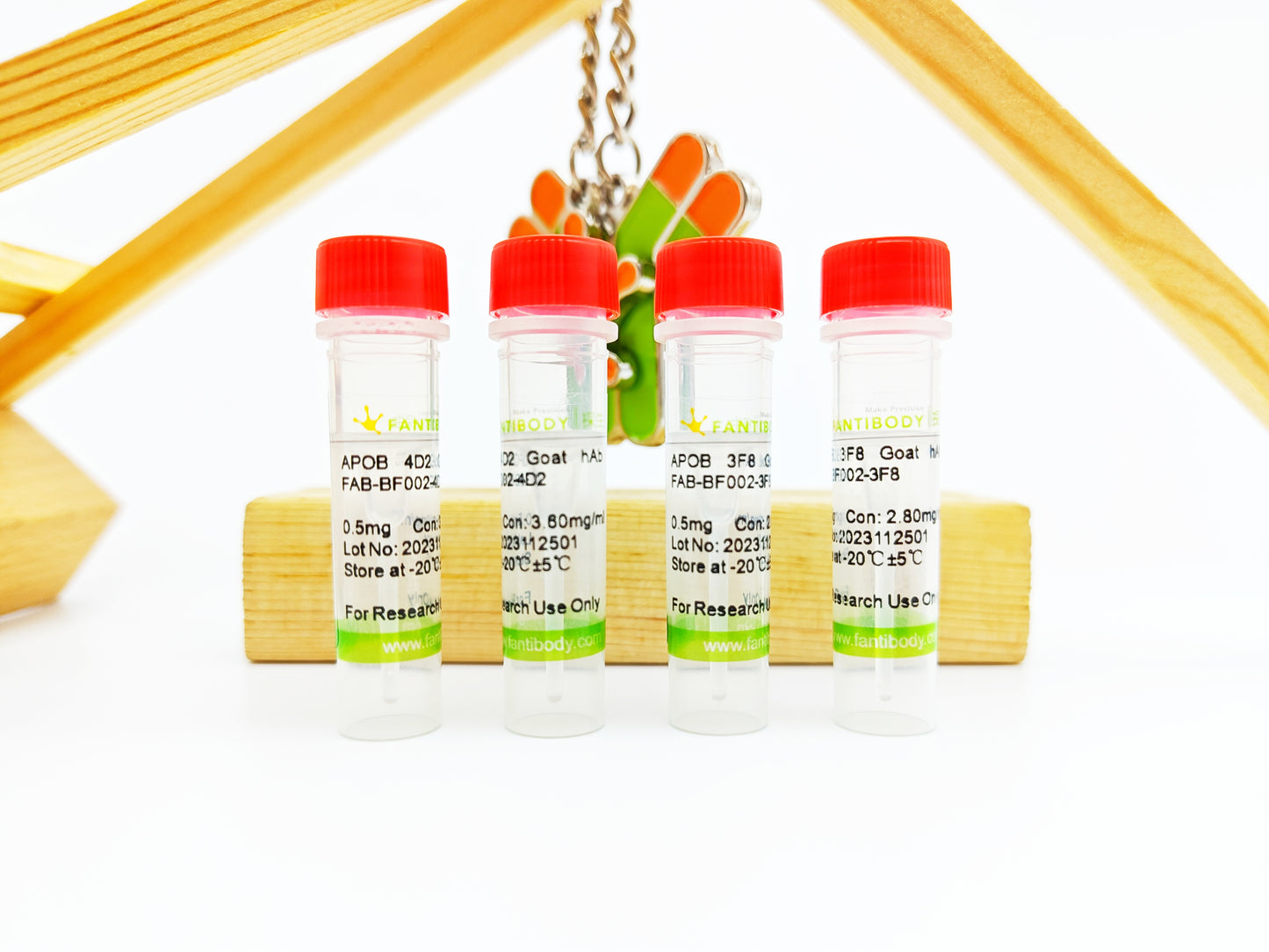 ApoB Antibody
