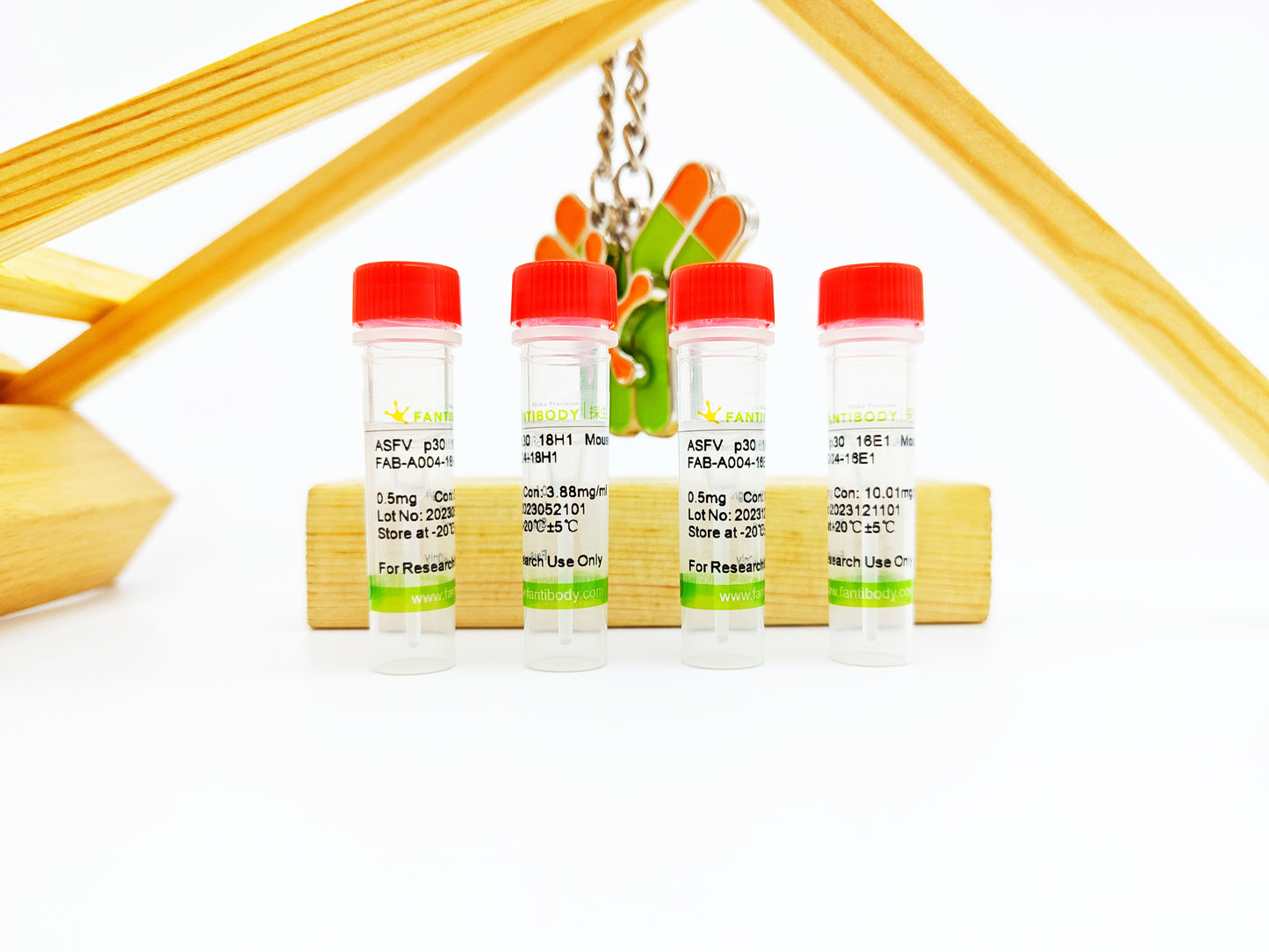 ASFV p30 Antibody