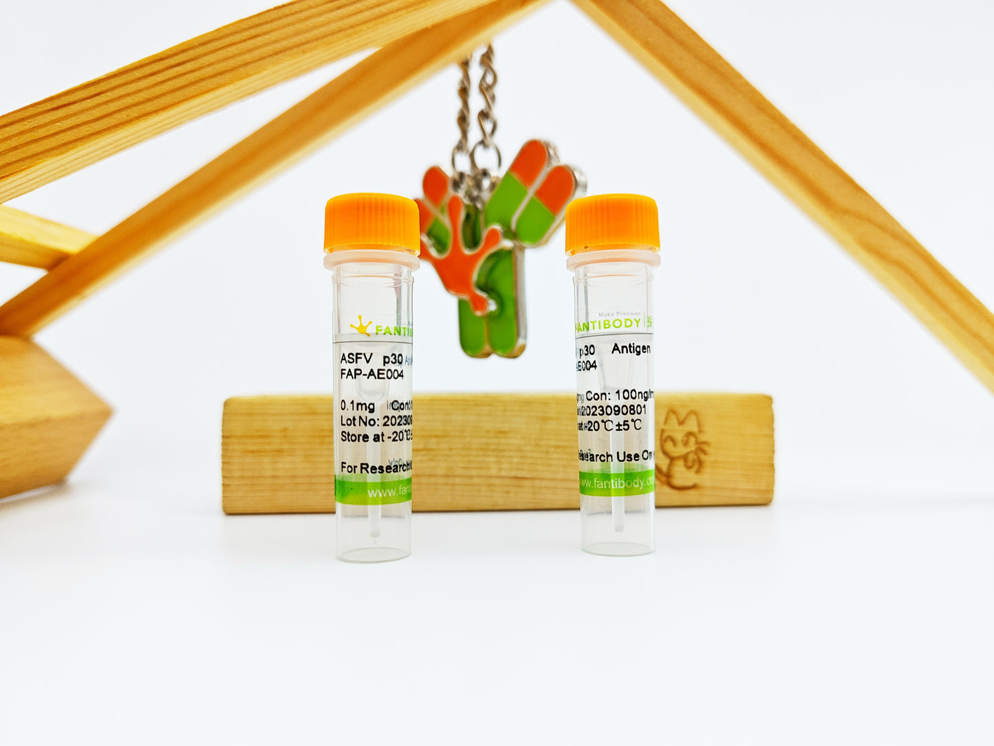 ASFV p30 Antigen