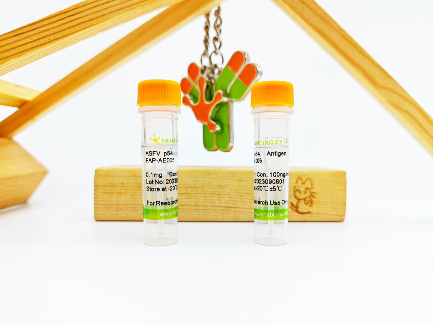 ASFV p54 Antigen