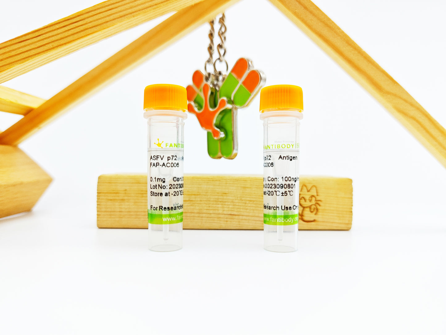 ASFV p72 Antigen