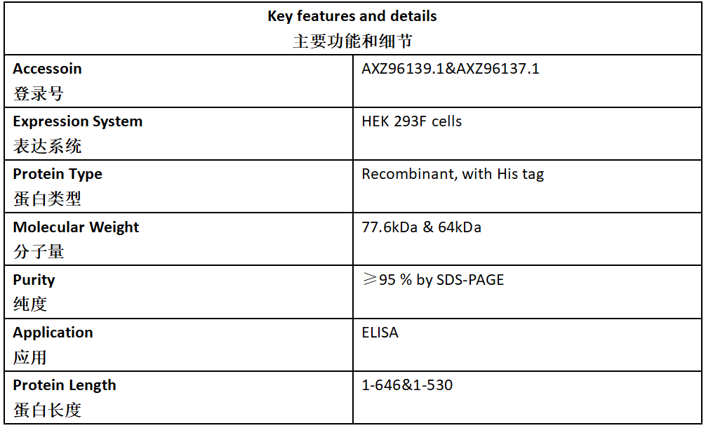 ASFV p72 Antigen