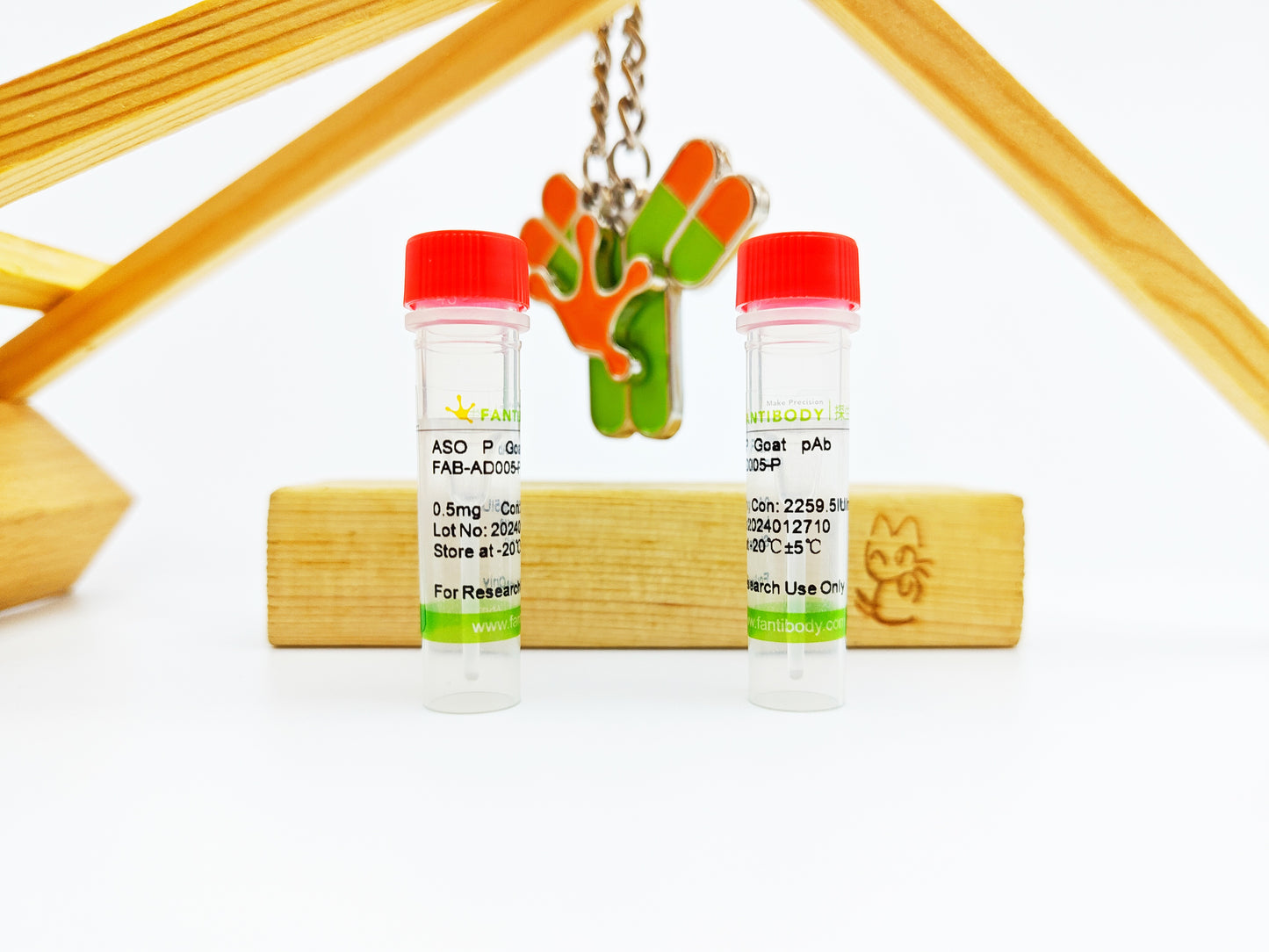 ASO Antibody