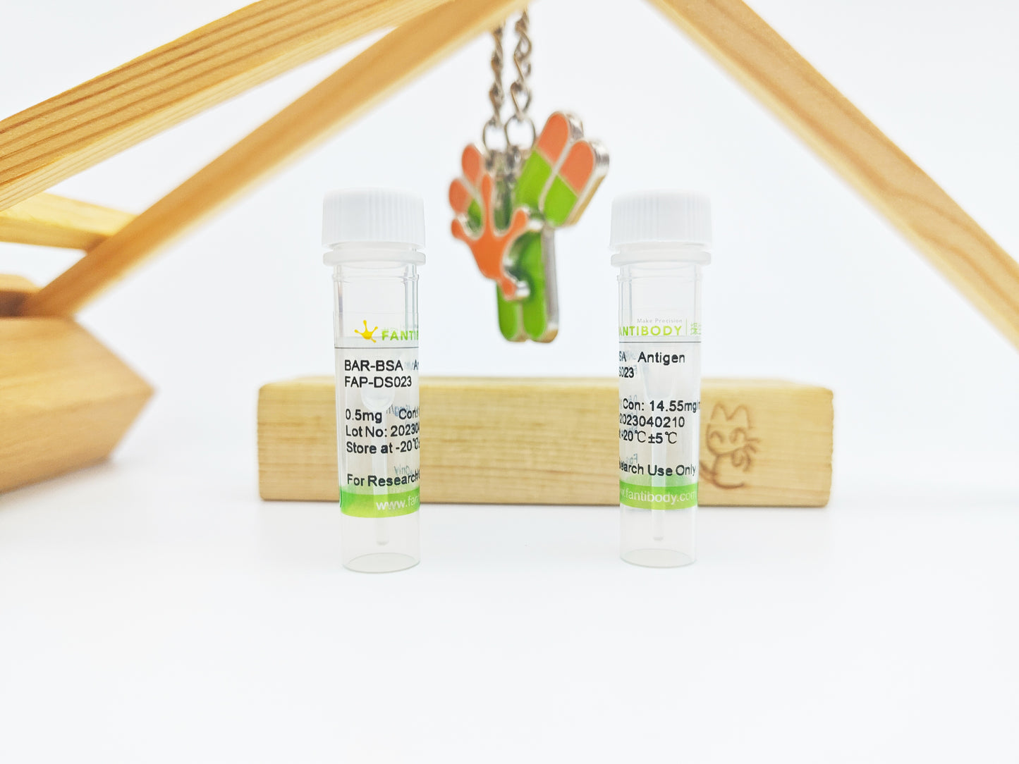 BAR-BSA Antigen