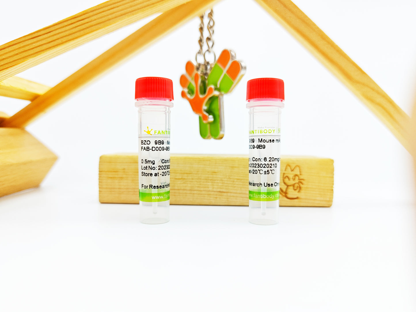 BZO Antibody