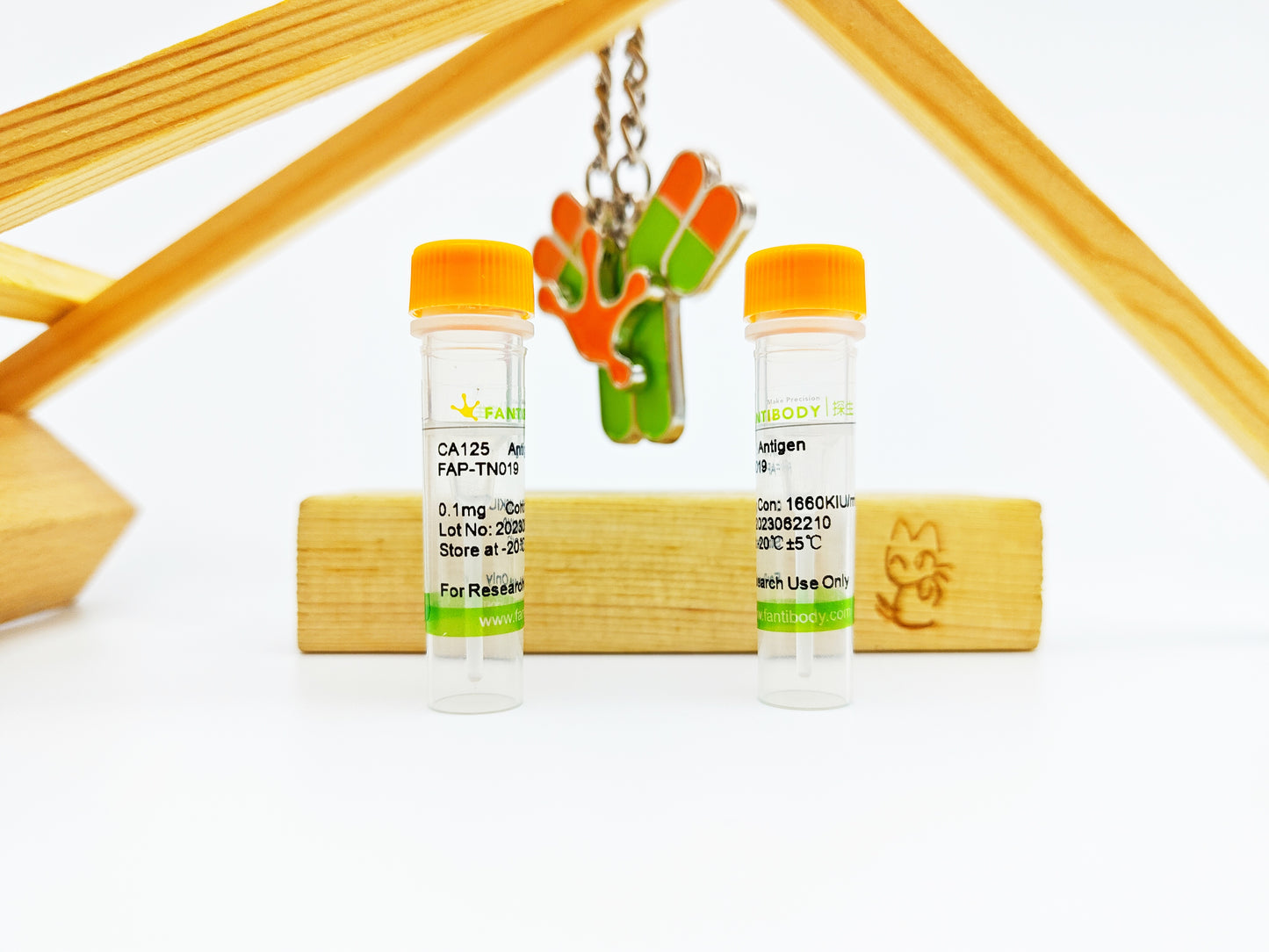 CA125 Antigen