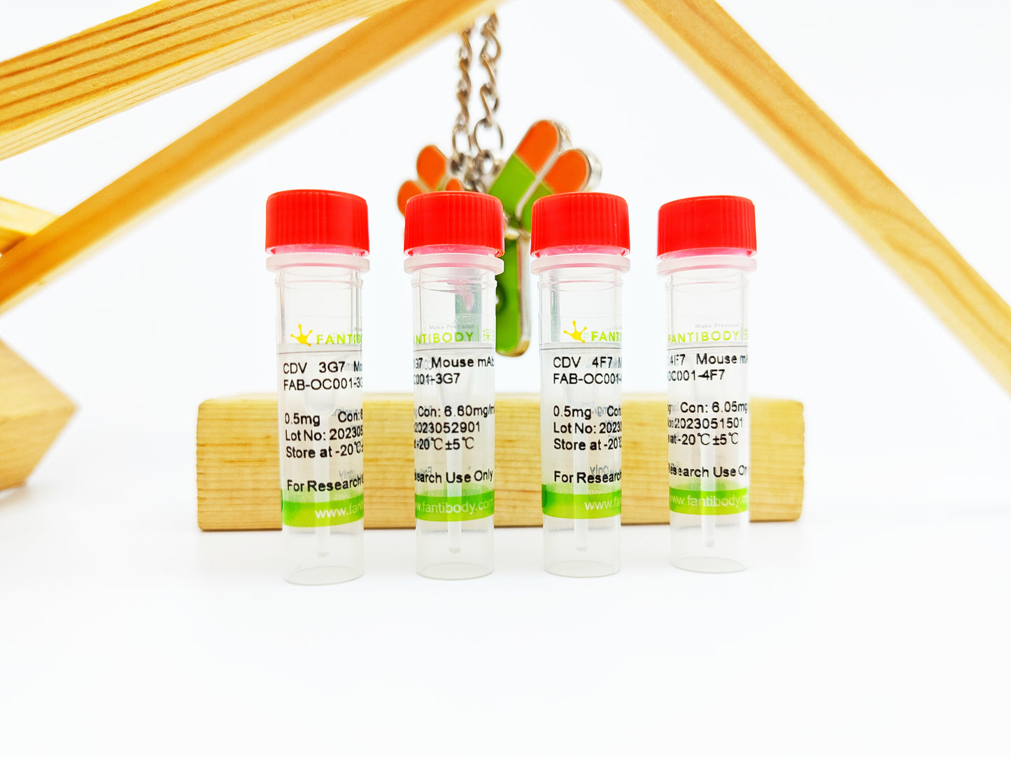 CDV Antibody