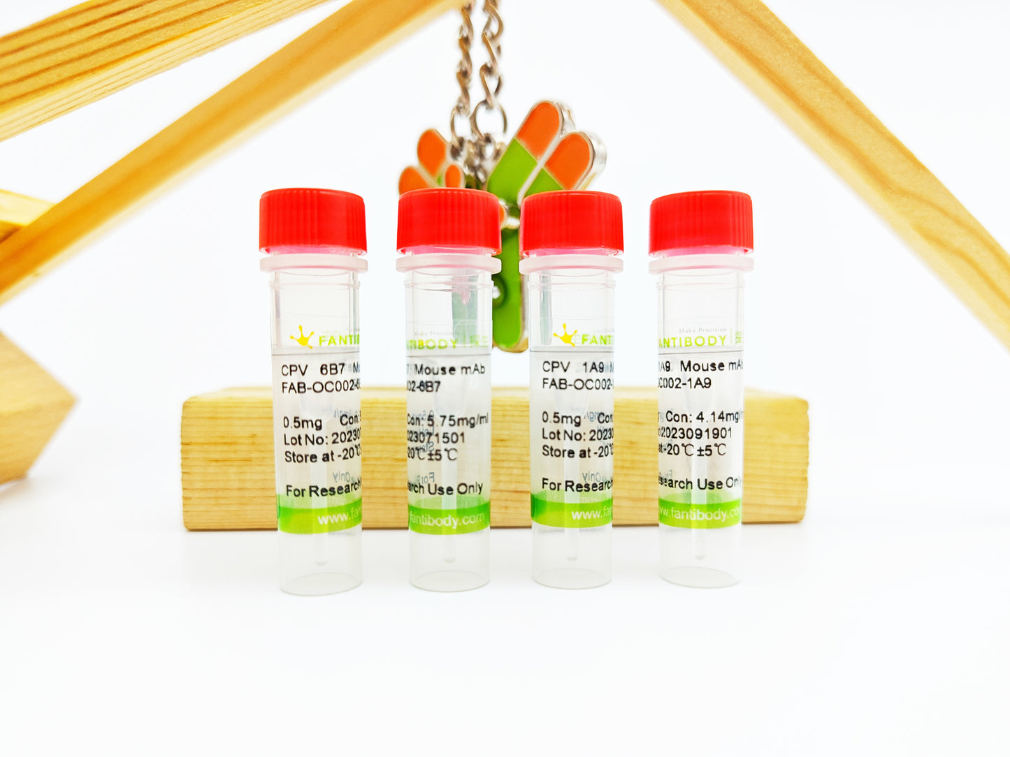 CPV Antibody