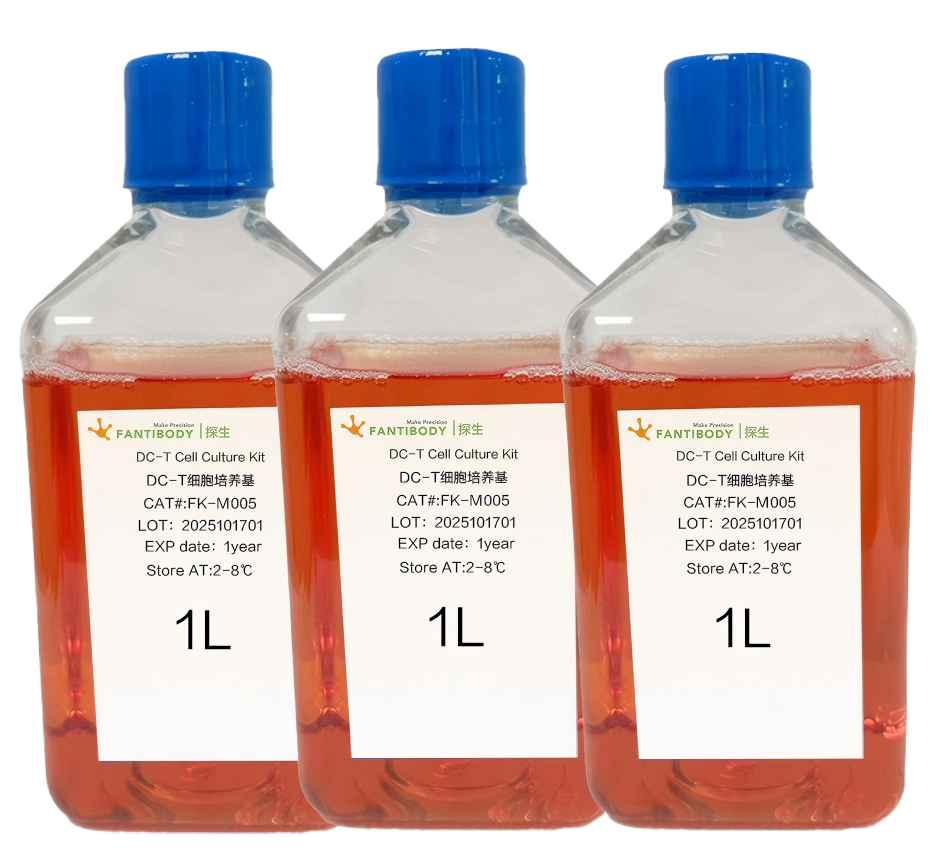 DC-T Cell Culture Kit