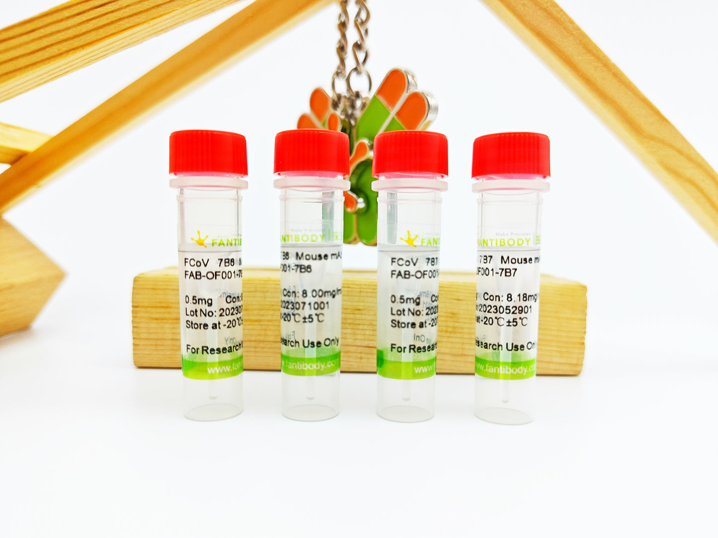 FCoV Antibody