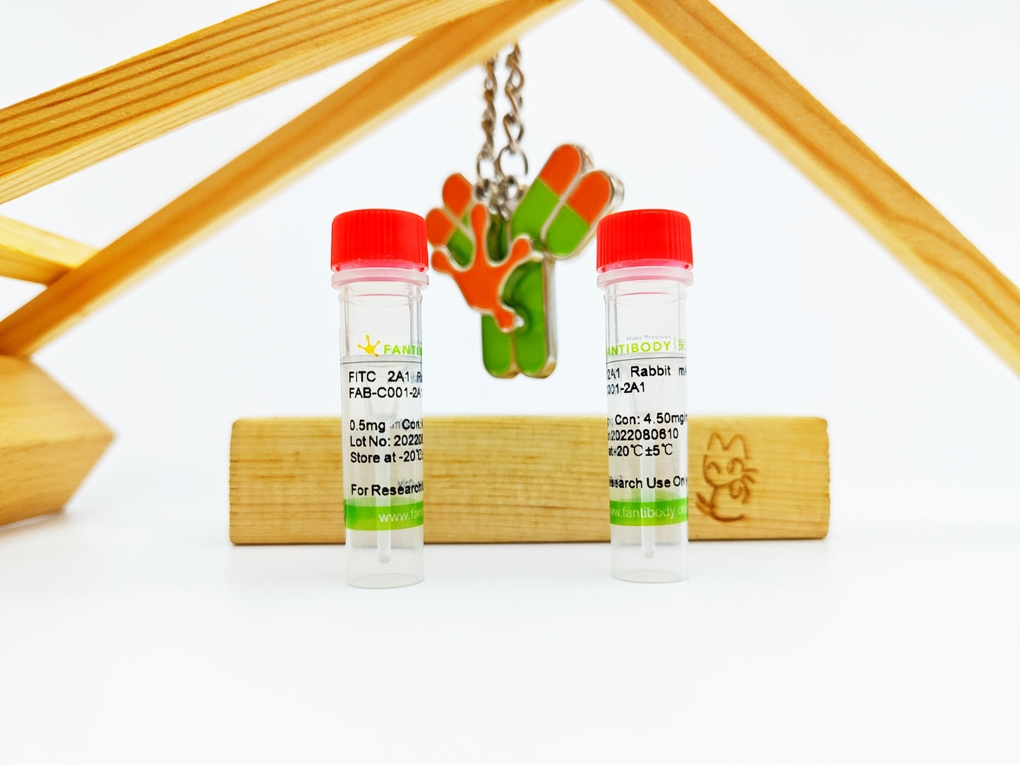 FITC Antibody
