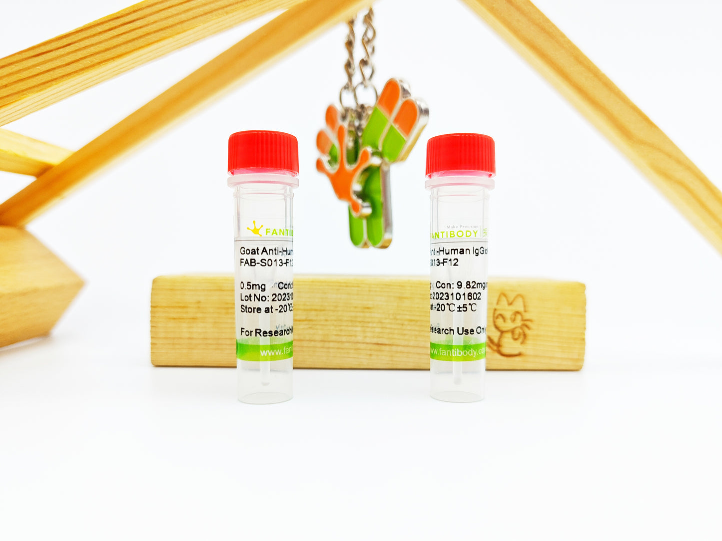 Goat anti-human IgG Antibody