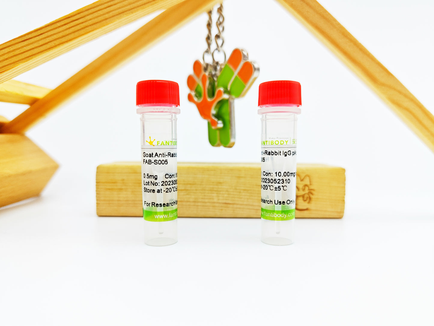 Goat anti-Rabbit IgG Antibody