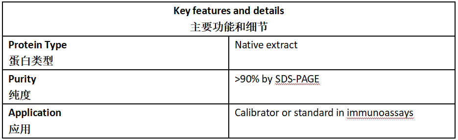 β-HCG Antigen