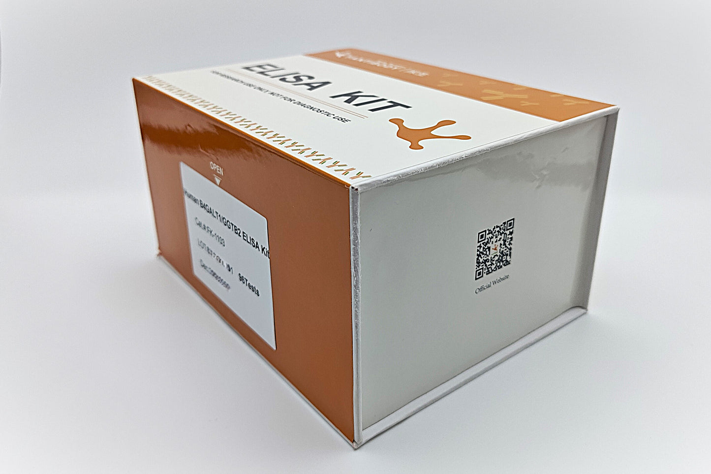 Human B4GALT1/GGTB2 ELISA Kit