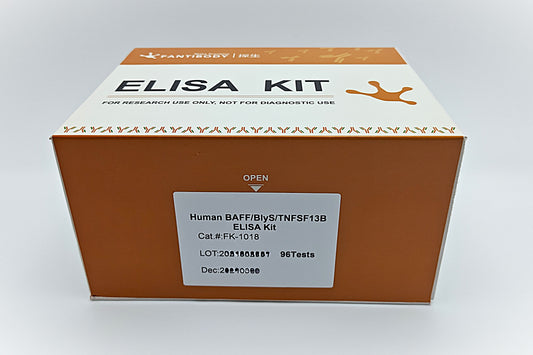 Human BAFF/BlyS/TNFSF13B ELISA Kit