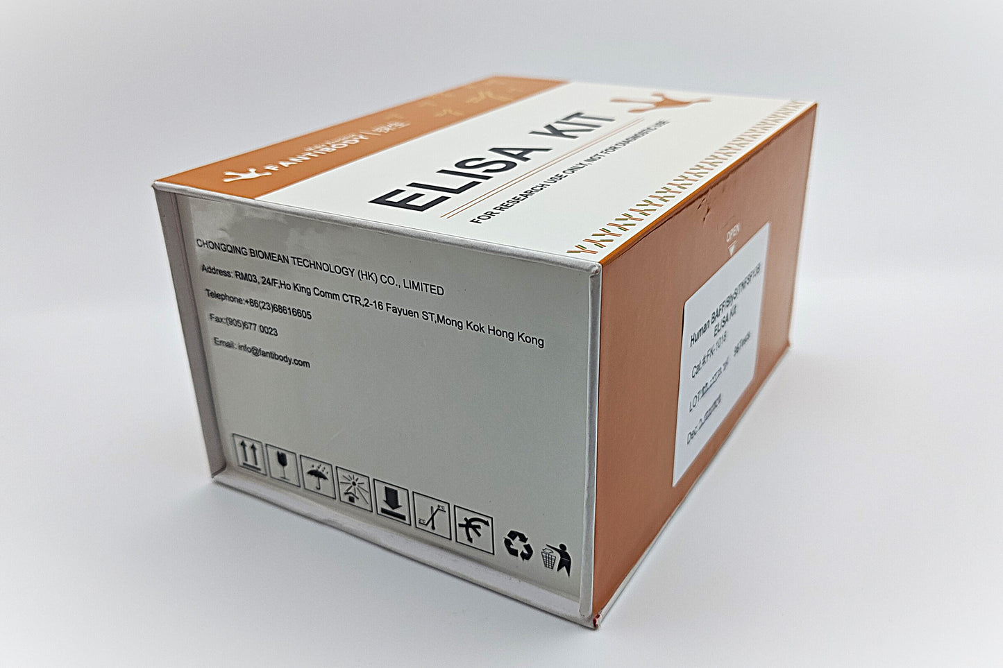 Human BAFF/BlyS/TNFSF13B ELISA Kit