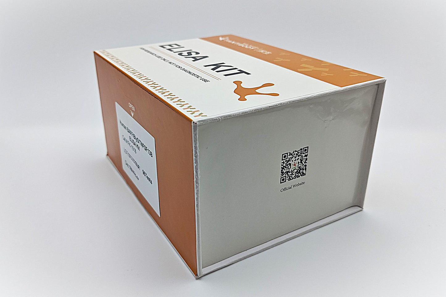 Human BAFF/BlyS/TNFSF13B ELISA Kit