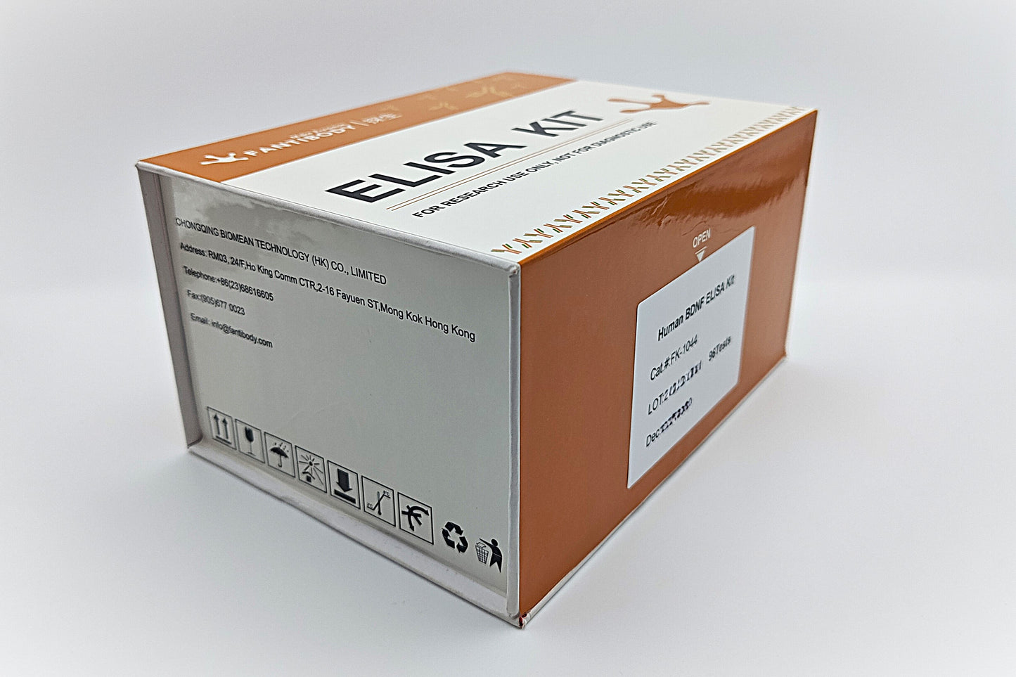 Human BDNF ELISA Kit