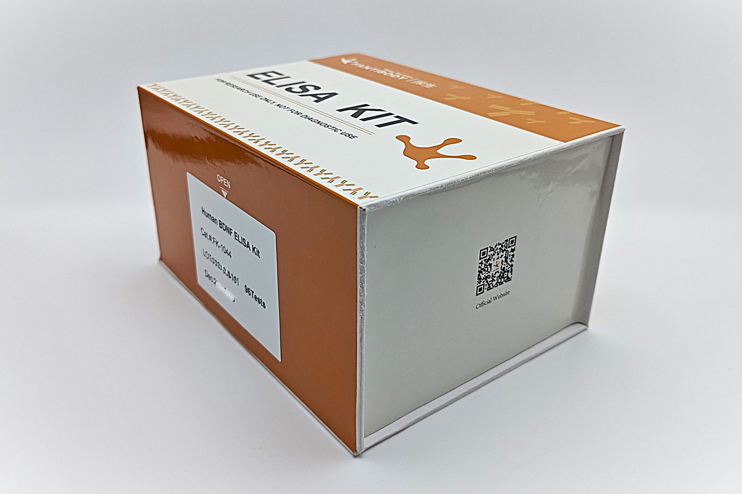 Human BDNF ELISA Kit