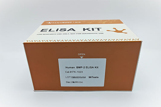 Human  BMP-2 ELISA Kit