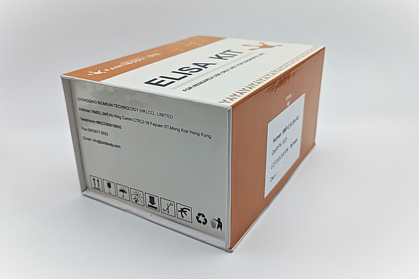 Human BMP-2 ELISA Kit