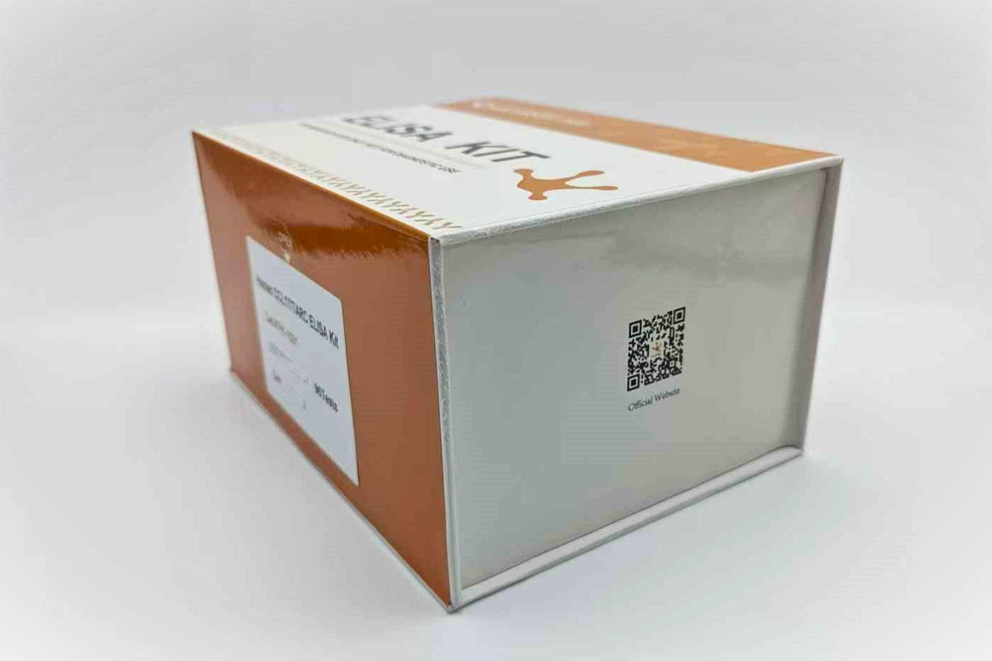 Human CCL17/TARC ELISA Kit