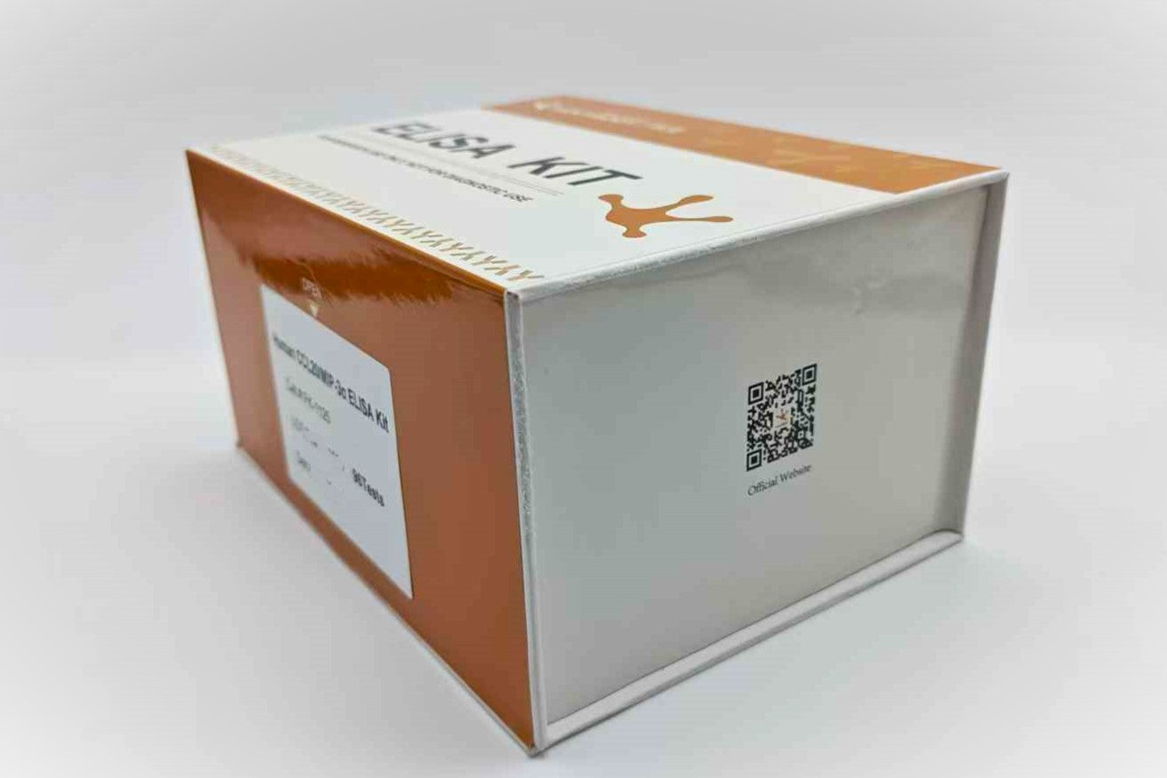 Human CCL20/MIP-3α ELISA Kit