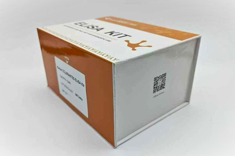 Human CCL5/RANTES ELISA Kit