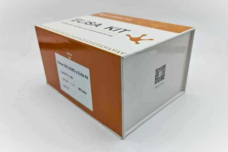 Human CXCL3/GRO-γ ELISA Kit