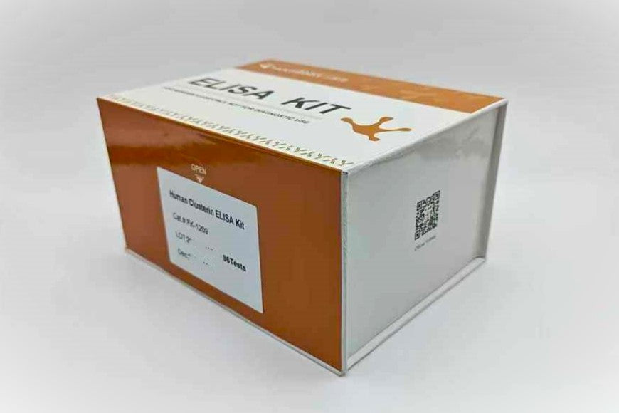 Human Clusterin ELISA Kit