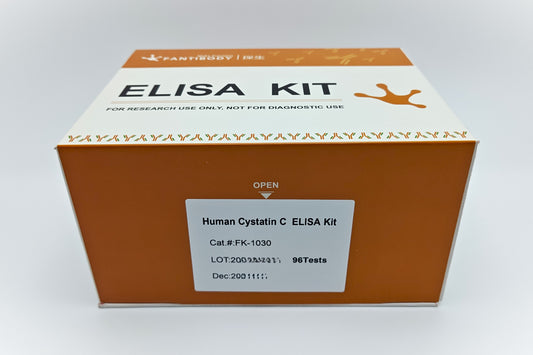 Human Cystatin C  ELISA Kit