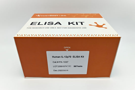Human IL-12p70  ELISA Kit