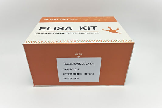 Human RAGE ELISA Kit