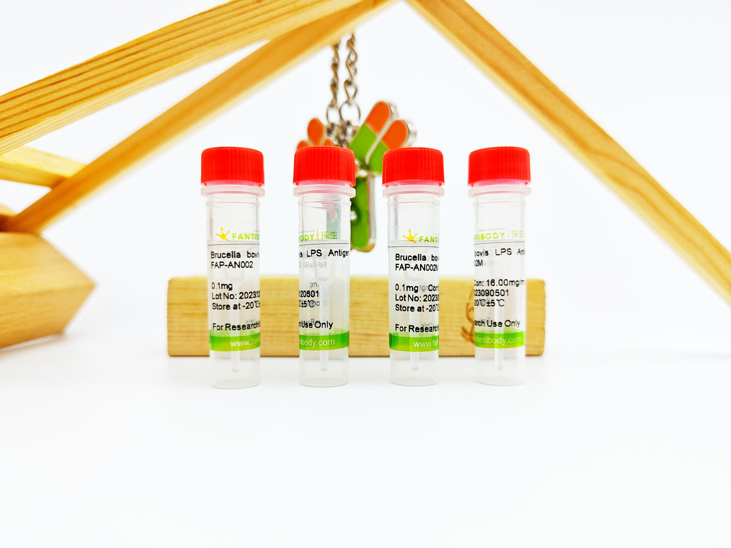 Brucella bovis LPS Antigen