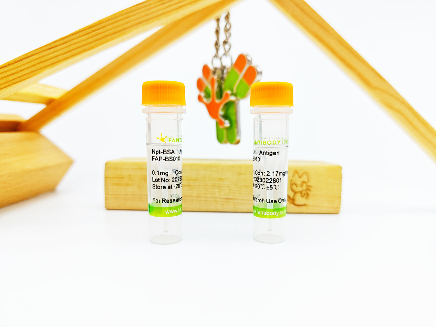 Npt-BSA Antigen