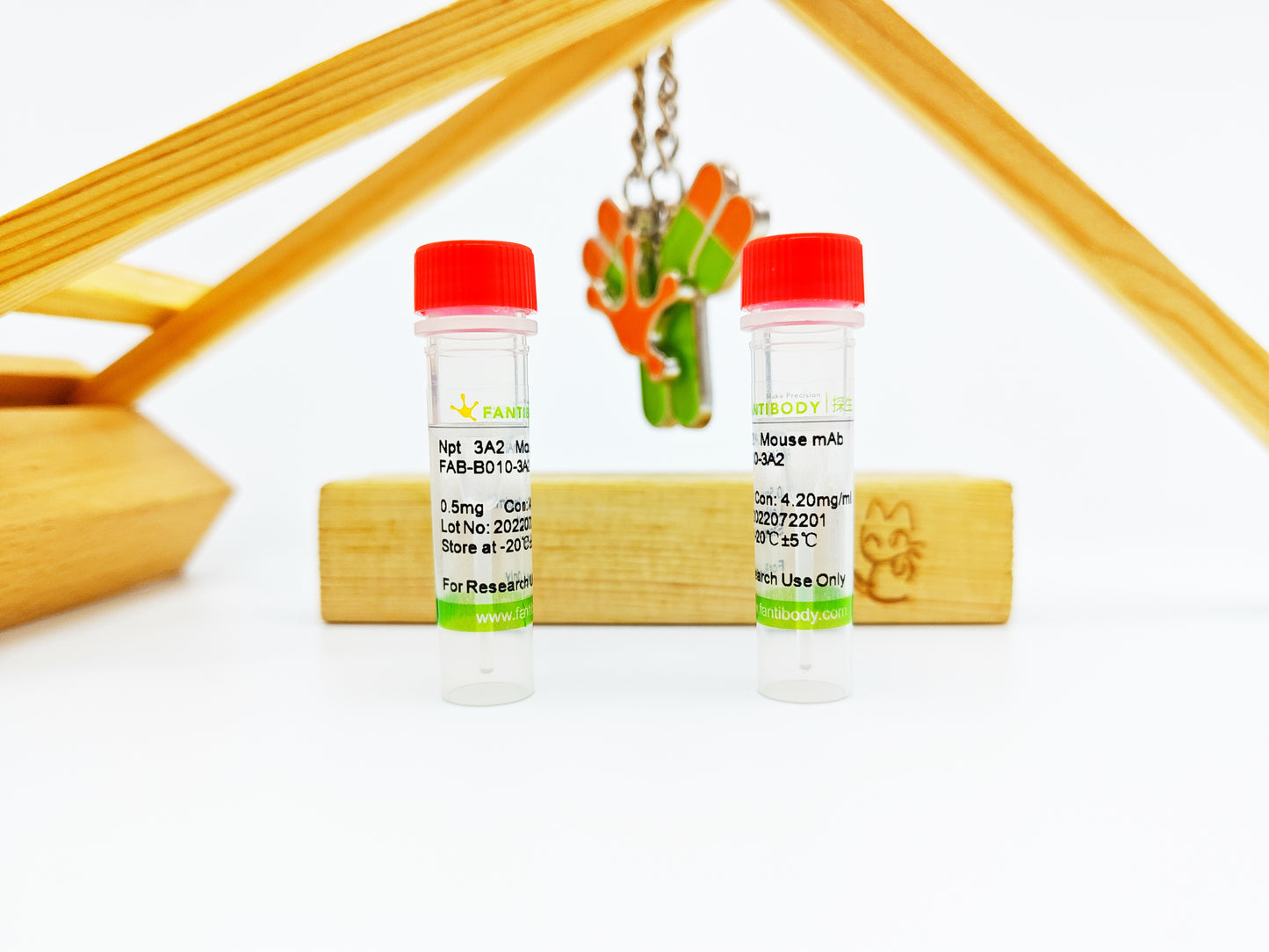 Npt Antibody