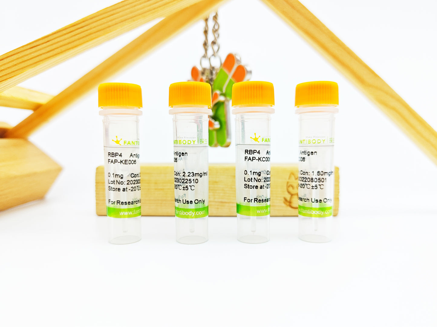 RBP4 Antigen