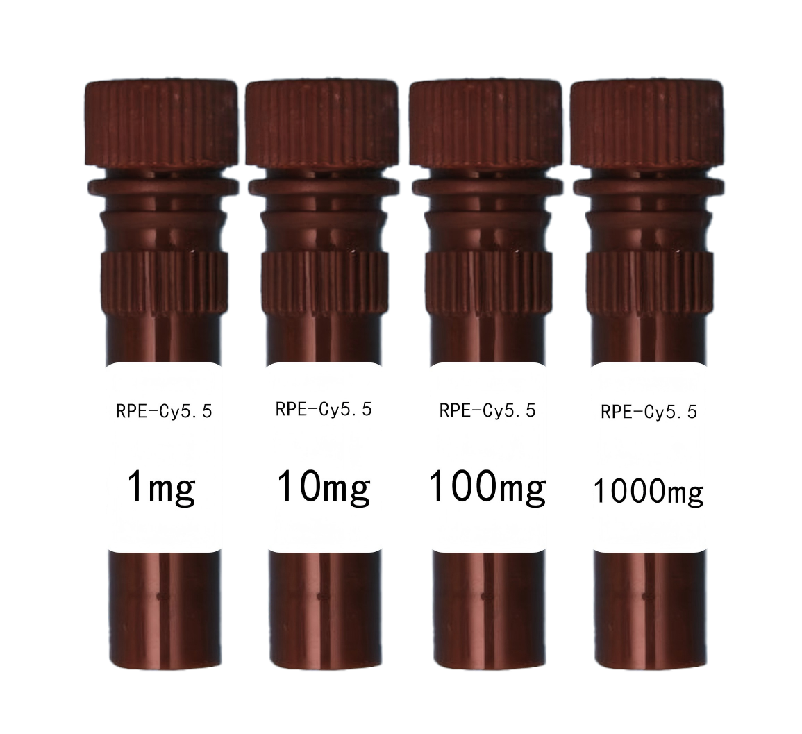 RPE-Cy5.5