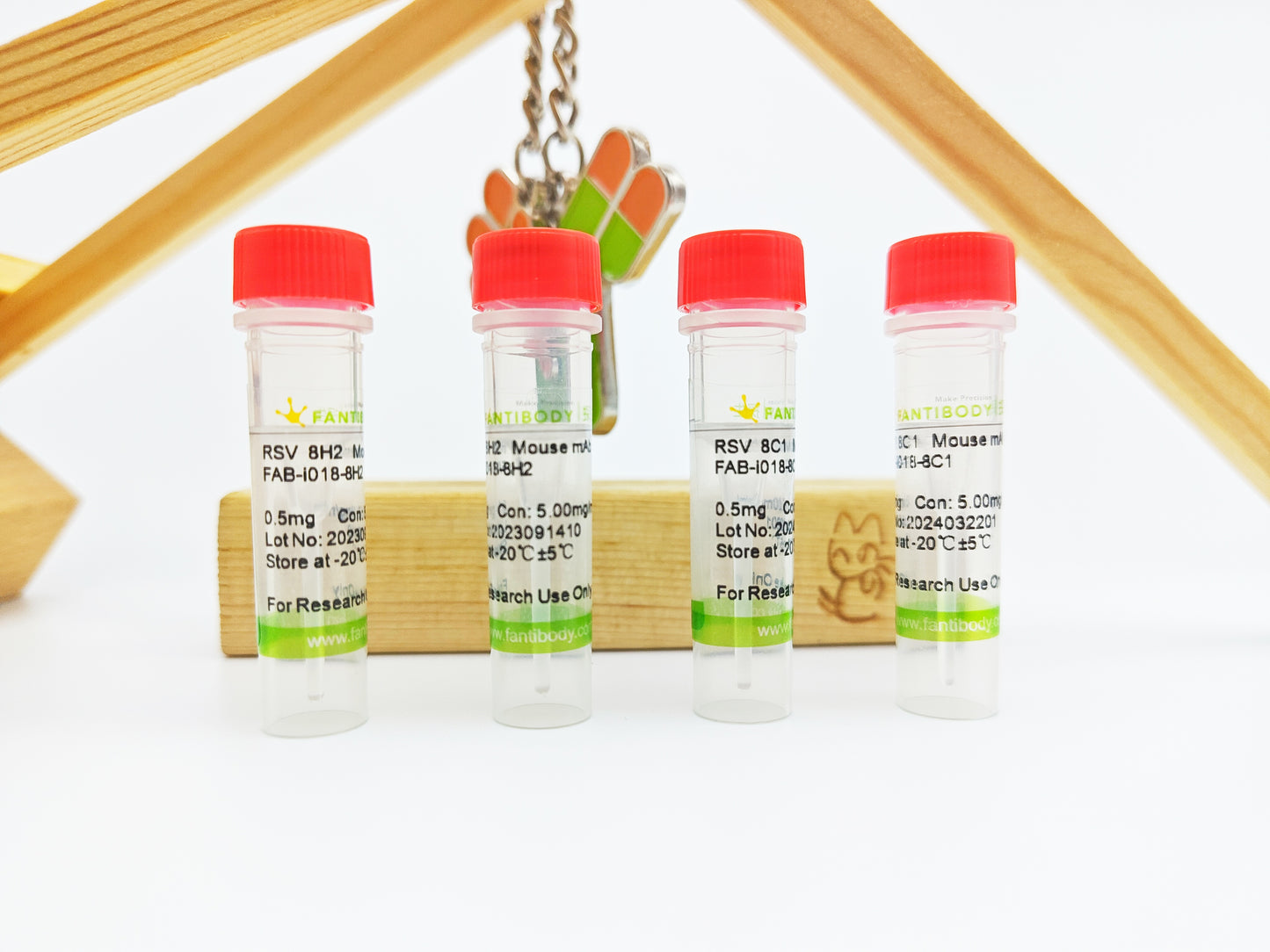RSV Antibody