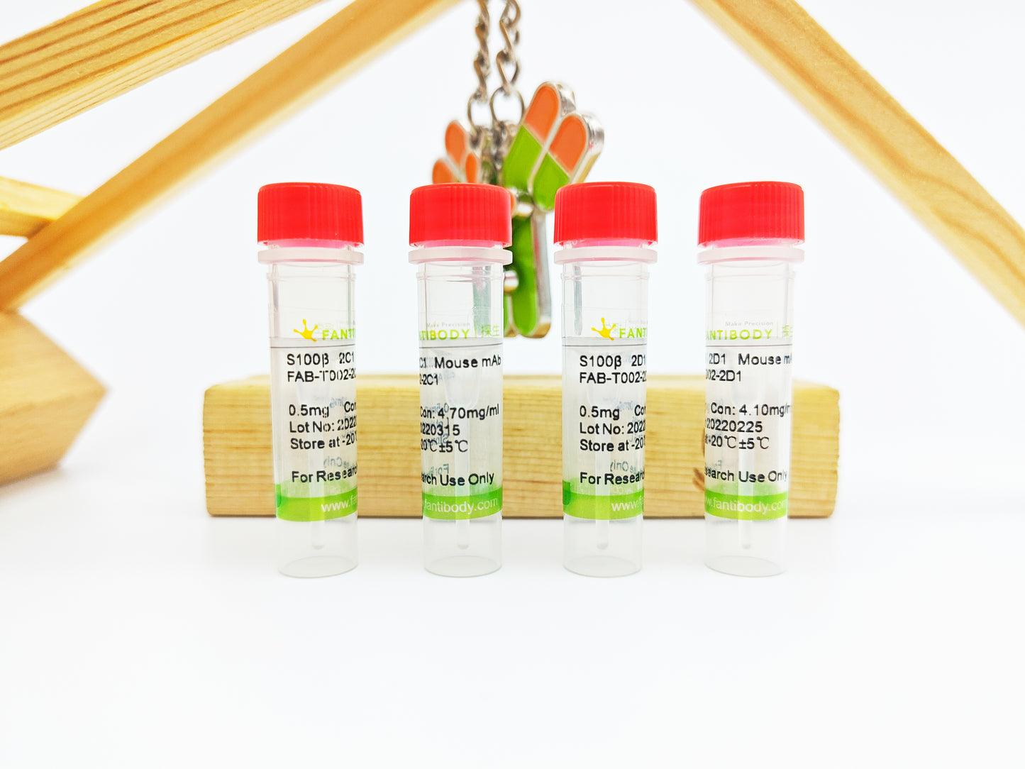 S100β Antibody