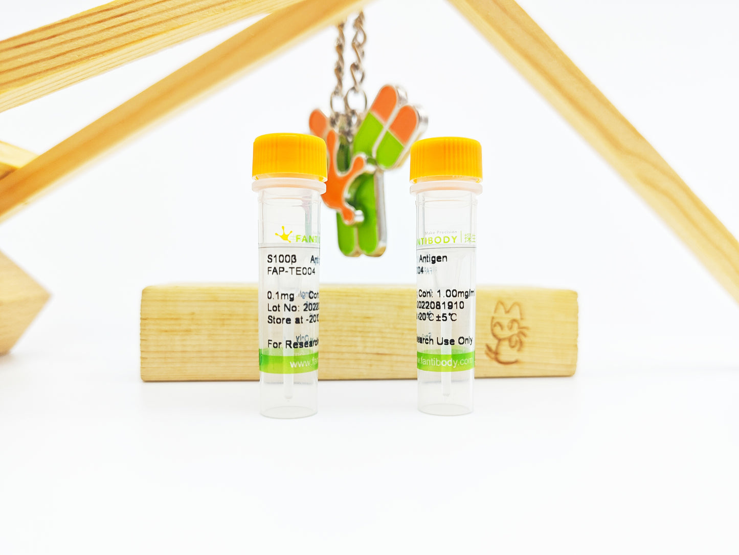 S100β Antigen
